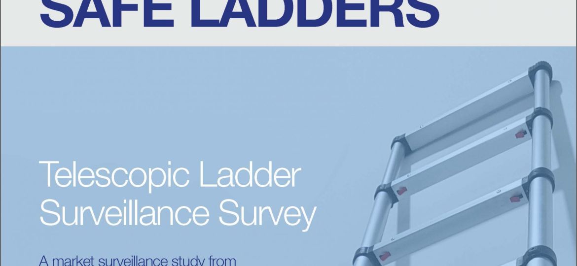 Telescopic Ladder Surveillance Survey Report Version 1 Revision 0 May 2022 Page 01 1 scaled